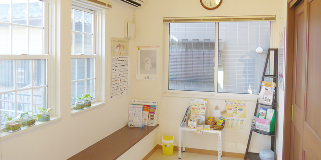 オレンジ動物病院